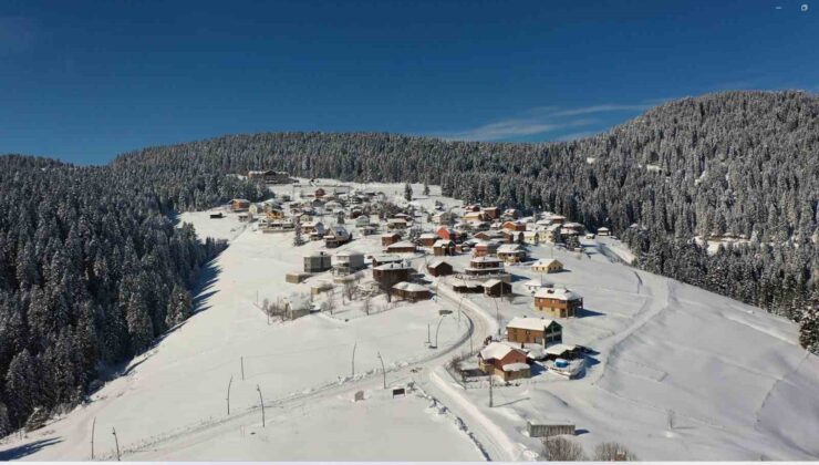 Giresun’da kış turizmi için yayla yollarında yoğun mesai