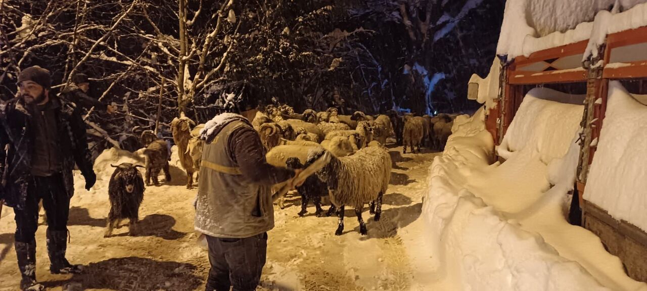 Güce çığ faciası
