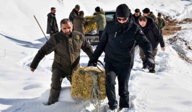 Gümüşhane’de kış şartları yaban hayatını zorladı: Doğaya yem bırakıldı