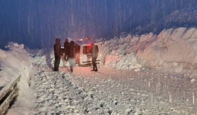 Hakkari’de Çığ Felaketi Yolu Kapattı, Araçlar Mahsur Kaldı