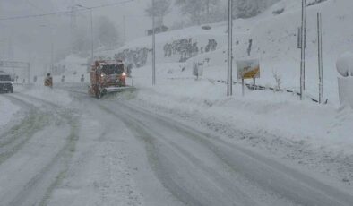 Artvin’de Kar ve Tipi Etkili Oluyor: Hopa–Borçka Karayolunda Zor Anlar