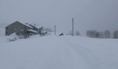 Kar Keyfi İçin Memlekete Döndüler: İstanbul’dan Sivas’a Yoğun İlgi