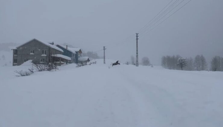 Kar Keyfi İçin Memlekete Döndüler: İstanbul’dan Sivas’a Yoğun İlgi