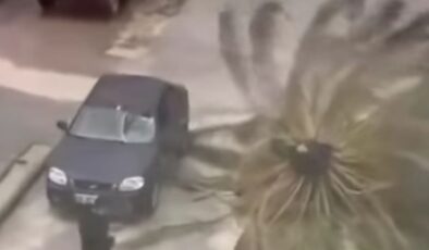 Kuşadası’nda Fırtına Etkili Oldu: Ağaçlar Devrildi, Yollar Kapatıldı