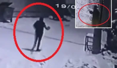 Nevşehir’de Mahalleye İnen Kurtlara İlginç Müdahale