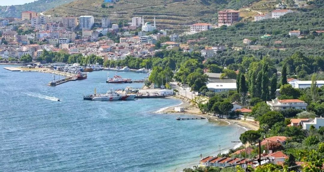 Marmara’da şap hastalığı karantina