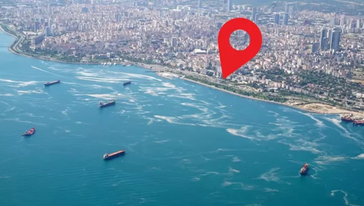 Marmara’da Şap Hastalığı Tespit Edildi: Adada Karantina Uygulaması Başlatıldı