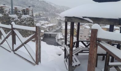 Mesudiye’de Kar Etkisini Artırdı, İlçe Beyaza Büründü