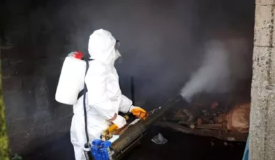 Ordu’da Kahverengi Kokarcaya Karşı Büyük Mücadele