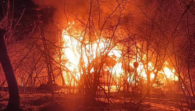 Ordu’da Yangın Sonrası Şoke Eden Keşif