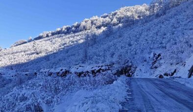 Ordu’da kar alarmı: 13 ilçede eğitime ara verildi, Valilikten son dakika açıklaması