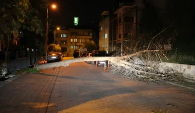 Pamukkale ve Merkezefendi’de kuvvetli rüzgar hayatı olumsuz etkiledi