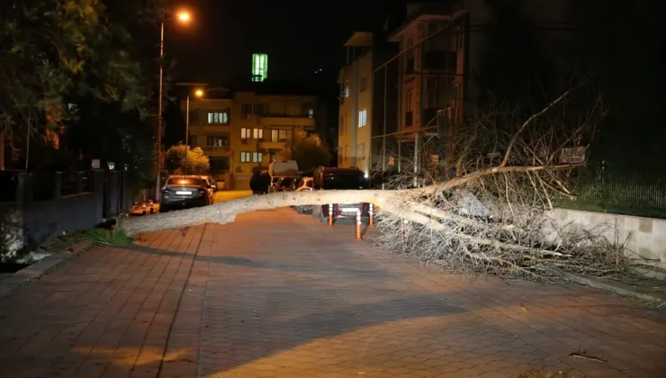 Pamukkale ve Merkezefendi’de kuvvetli rüzgar hayatı olumsuz etkiledi