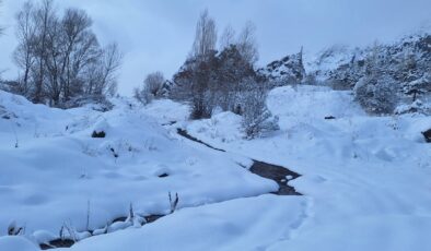 Şebinkarahisar’da Kar Manzaraları Kartpostallık Görüntüler Oluşturdu