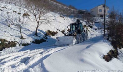 Büyükşehir Ekiplerinden Yoğun Kar Mesaisi