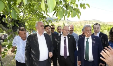 Trabzon hurması, dut ve incir üreticisine don desteği ödemesi başladı