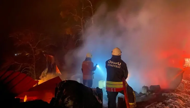 Ünye’de Peş Peşe Yangınlar: Evler Alevlere Teslim Oldu
