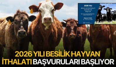 Besilik Hayvan İthalatı İçin Başvuru Takvimi Açıklandı