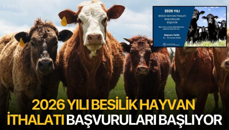 Besilik Hayvan İthalatı İçin Başvuru Takvimi Açıklandı