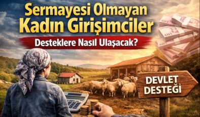 Sermayesi Olmayan Kadın Girişimciler Desteklere Nasıl Ulaşacak?