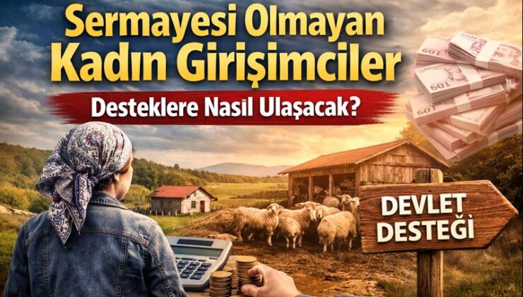 Sermayesi Olmayan Kadın Girişimciler Desteklere Nasıl Ulaşacak?
