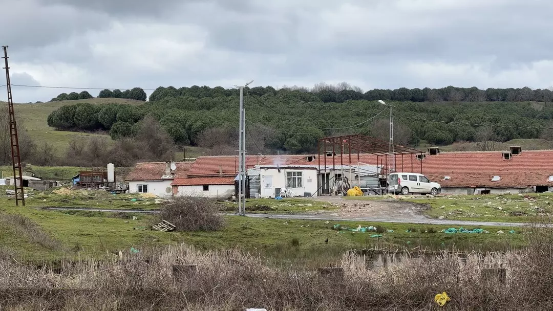 Arnavutköy elektrikli testere saldırısı