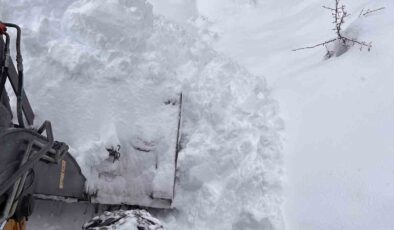 Artvin’de Kar Esareti: 80 Köy Yolu Ulaşıma Tamamen Kapandı