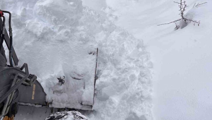 Artvin’de Kar Esareti: 80 Köy Yolu Ulaşıma Tamamen Kapandı