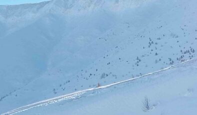 Artvin’de Çığ Felaketinde Kaybolan Çoban İçin Aileden Yeniden Arama Çağrısı