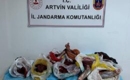 Artvin’de Kaçak Av Operasyonu: 60 Kilo Yaban Domuzu Eti Ele Geçirildi