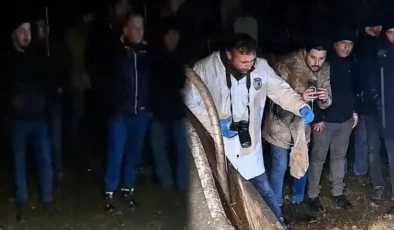 Bartın’da Gizemli Mezar Alarmı: Kazı Yapılınca İçinden Çıkanlar Şoke Etti