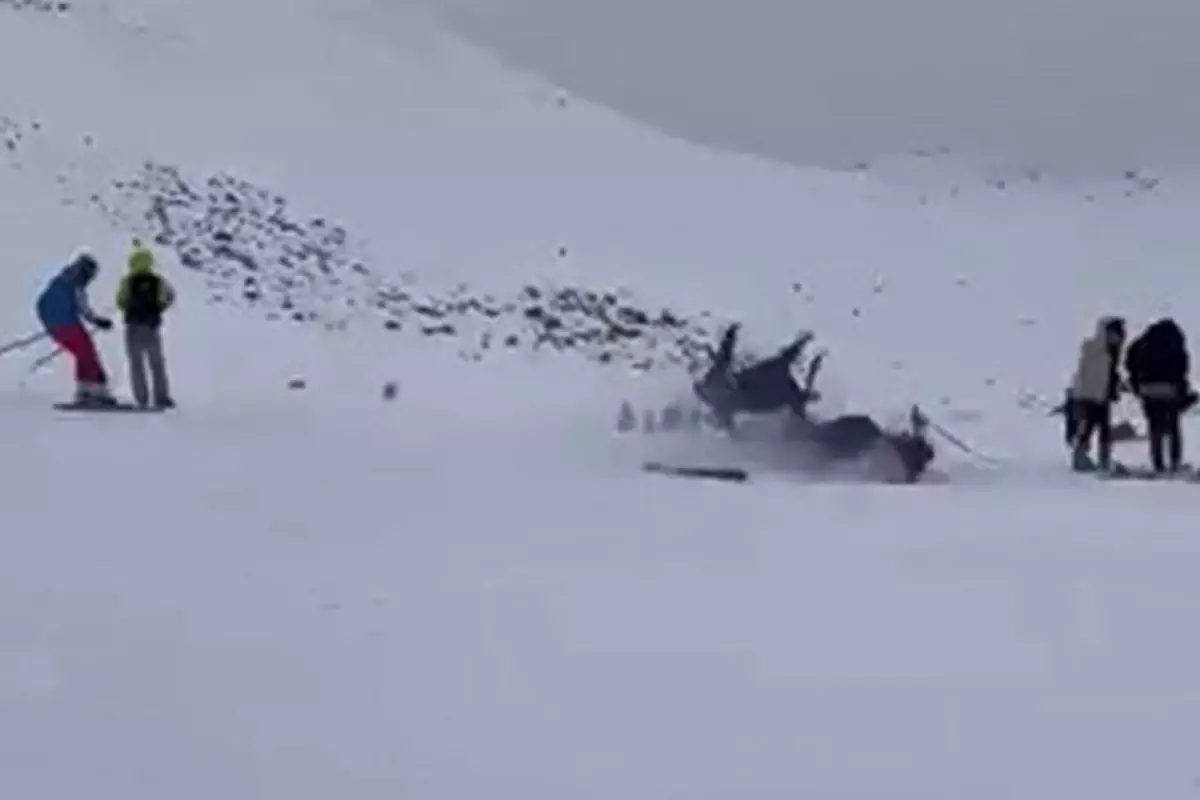 Bingöl kayak merkezi kazası