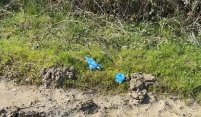 İstanbul’daki Çinli İş İnsanı Cinayetinde Kan Donduran Detaylar