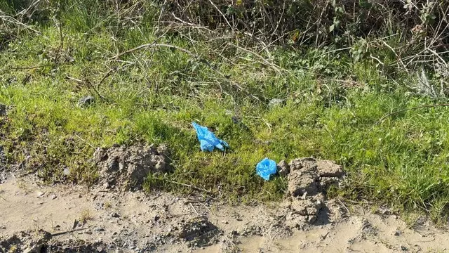 İstanbul’daki Çinli İş İnsanı Cinayetinde Kan Donduran Detaylar