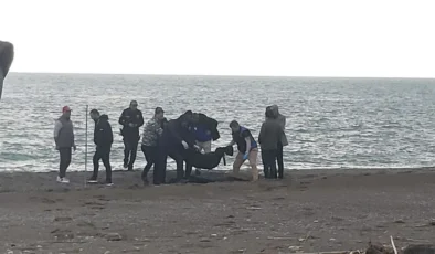 Kayacık Sahili’nde Korkunç Buluntu: Sahilde Bulunan Ceset İnceleniyor