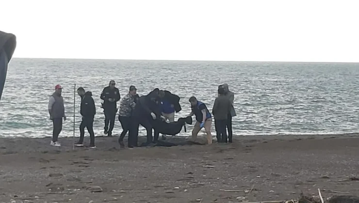 Kayacık Sahili’nde Korkunç Buluntu: Sahilde Bulunan Ceset İnceleniyor