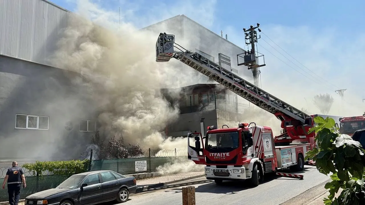 Darıca yangın