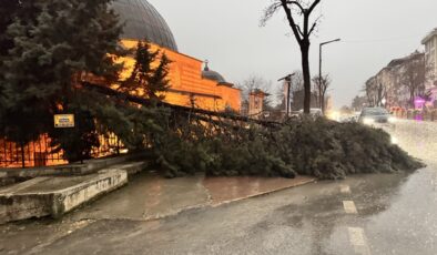 Edirne’de Fırtına Dehşeti: Dev Ağaçlar Otomobillerin Üzerine Devrildi
