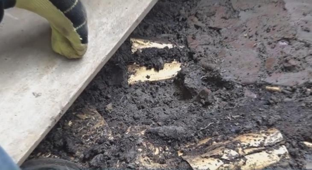 El Cano arkeolojik alanı mezar keşfi