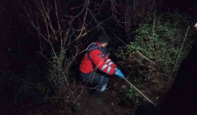 Hatay’da uçuruma yuvarlanan kepçe kazası: Operatörü kurtaran 4 itfaiyeci hastanelik oldu