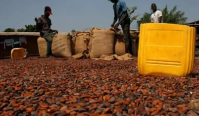 Topraktan Değil Fabrikadan Rekor Geldi: Türkiye Kakao İhracatında Devler Ligine Yükseldi