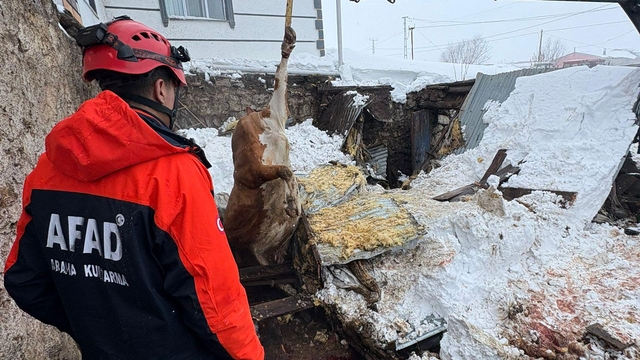 Kars ahır çökmesi