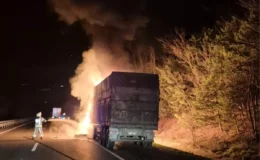 Bursa-Ankara Kara Yolunda Korku Dolu Anlar