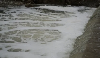 Gebze’de çevre felaketi: Fabrikalar dereyi zehir yuvasına çevirdi!