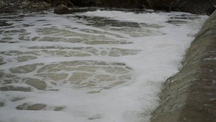 Gebze’de çevre felaketi: Fabrikalar dereyi zehir yuvasına çevirdi!