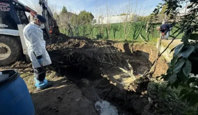 Manisa’da 17 Yıllık Sır Perdesi Aralandı: Bahçedeki Kazıdan Kan Donduran “Aile İnfazı” Çıktı!