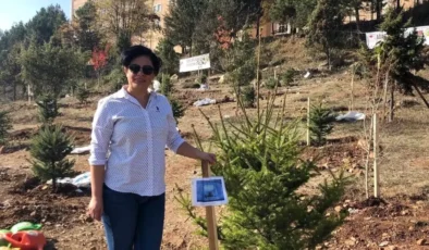 Evlat acısına kalbi dayanmadı: Bolu’da bir annenin dramı ölümle bitti