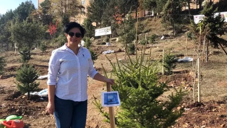 Evlat acısına kalbi dayanmadı: Bolu’da bir annenin dramı ölümle bitti