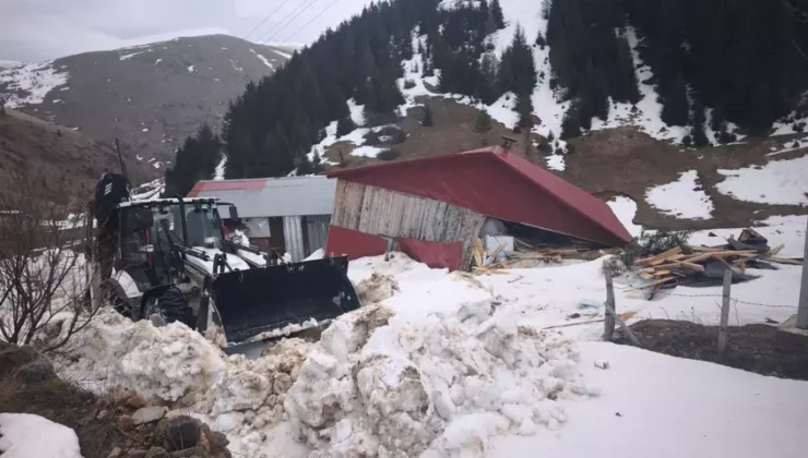 Ordu’da Obaya Çığ Düştü: 2 Bin 100 Rakımda Ev Kullanılamaz Hale Geldi