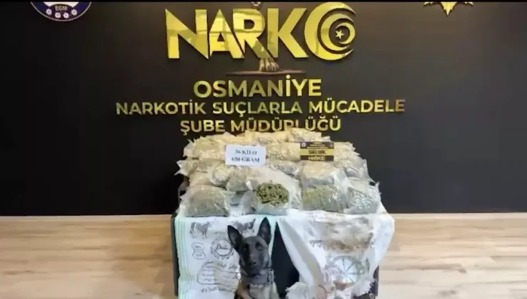 Osmaniye’de Polis Skunk Baskını: 36 Kilo Ele Geçirildi, 2 Tutuklama